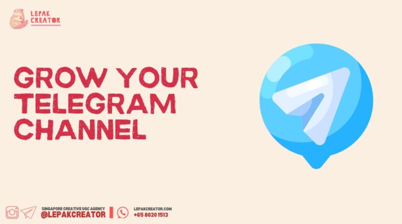 Telegram无法更新是什么原因？