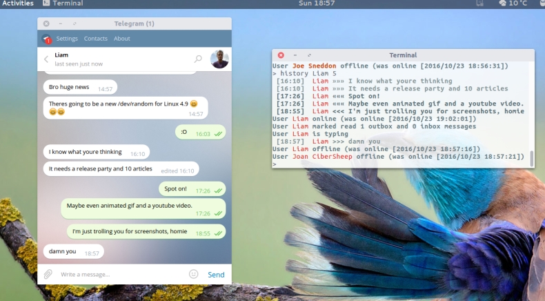Telegram Bot 如何申请？