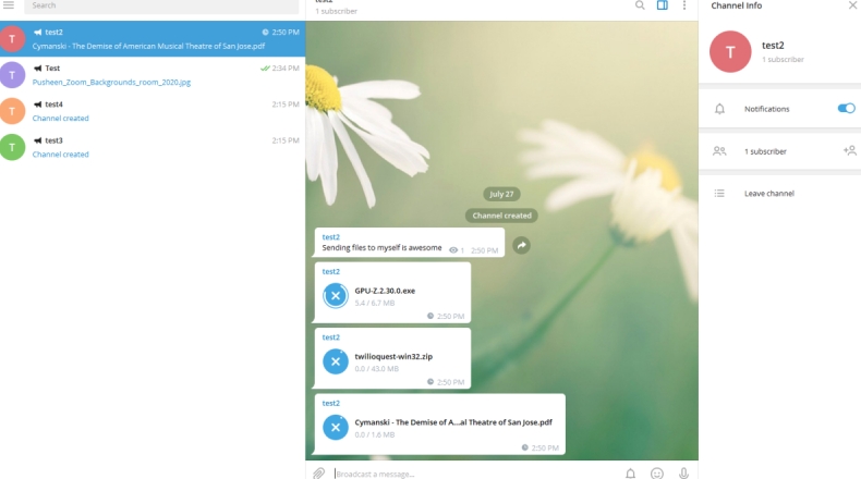 Telegram 登录历史记录怎么看？