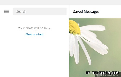 Telegram电脑版下载官方版本推荐哪个？
